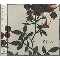 Amazon.co.jp: ザンサイアン: Music