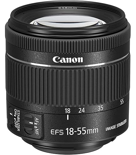 Amazon.co.jp: Canon レンズ EF-S55-250mm F4-5.6 IS STM : 家電＆カメラ