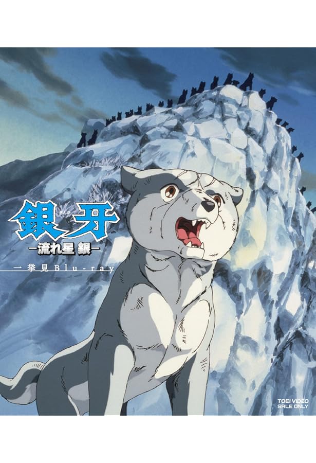 Amazon.co.jp: 銀牙-流れ星 銀- コミック 1-10巻セット (ジャンプ