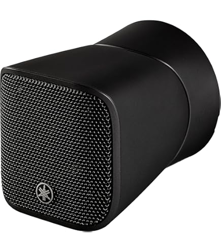 Amazon.co.jp: ヤマハ YAMAHA 2Wayスピーカーシステム ブラック VXS5