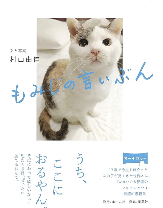 Amazon.co.jp: ネコメンタリー猫も、杓子も。2 [DVD] : 岸政彦, 真梨