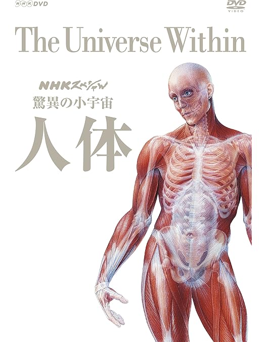 Amazon.co.jp: NHKスペシャル 驚異の小宇宙 人体II 脳と心 DVD BOX (新