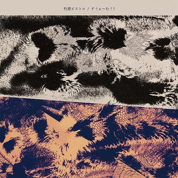 Amazon.co.jp: SKIP ON THE POEM: ミュージック