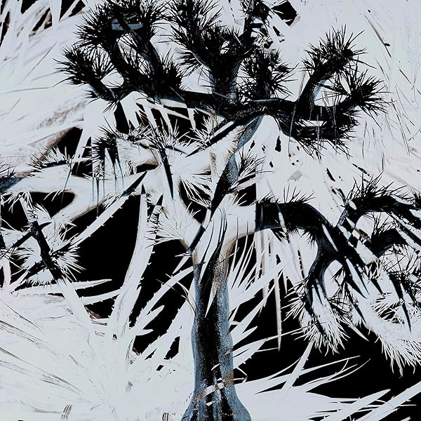 Amazon.co.jp: ドナドナ(初回限定盤)(DVD付): ミュージック