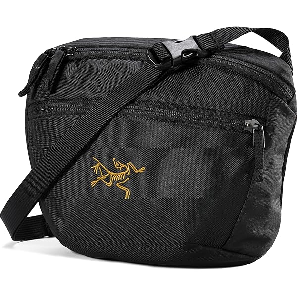 Amazon.co.jp: ARC'TERYX アークテリクス RUSH SK 32 BACKPACK