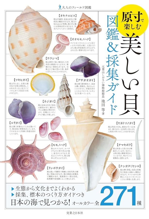 世界の貝大図鑑 形態・生態・分布 | M.G.ハラセウィッチ, ファビオ