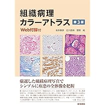 組織病理カラーアトラス[Web付録付] 第3版 | 坂本 穆彦 |本 | 通販