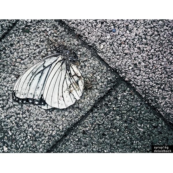 Amazon.co.jp: My Song: ミュージック