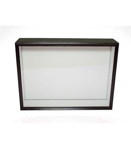 Amazon | 大型ドイツ型標本箱（黒） | 生態・採集 | おもちゃ