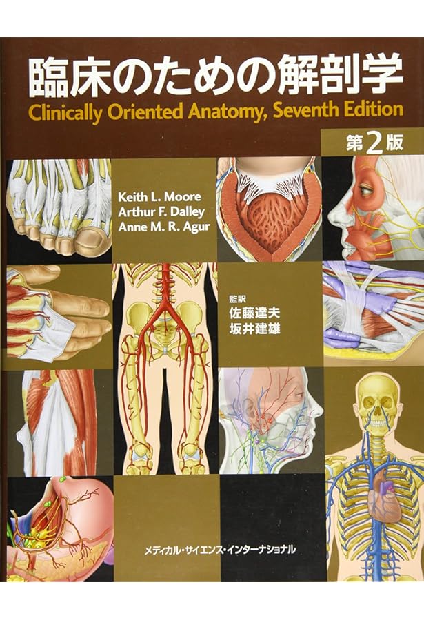 Amazon.co.jp: スネル臨床解剖学 : R.S. スネル, Snell,Richard S