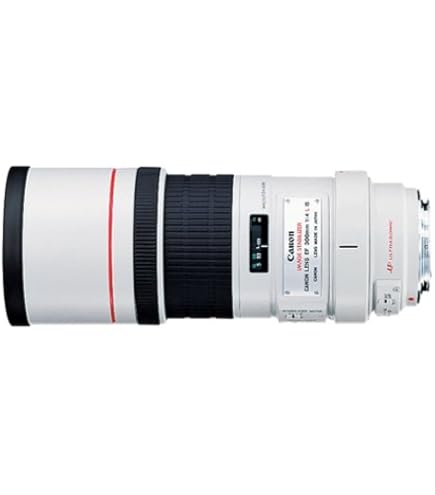 Amazon.com : Canon EF 300mm f/4L IS USM Telephoto Fixed Lens for