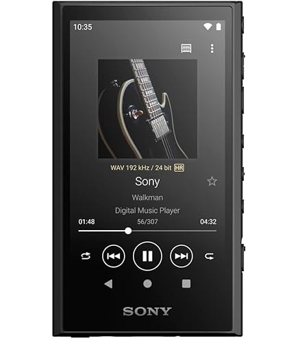 Amazon.com: Sony NW-E394 Walkman 8GB Digital Audio Player (Black