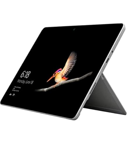 Amazon.com : Microsoft Surface Go (Intel Pentium Gold, 4GB RAM
