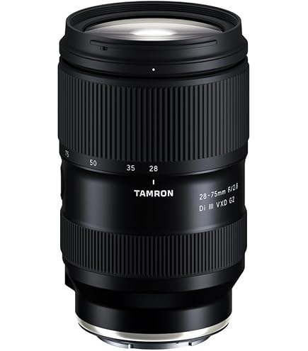 Amazon.com : TAMRON 28-75mm F2.8 RXD A036SF Lens for Sony-FE