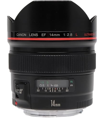 Amazon.com : Canon 14mm F2.8 L II USM EF AF Lens : Camera Lenses