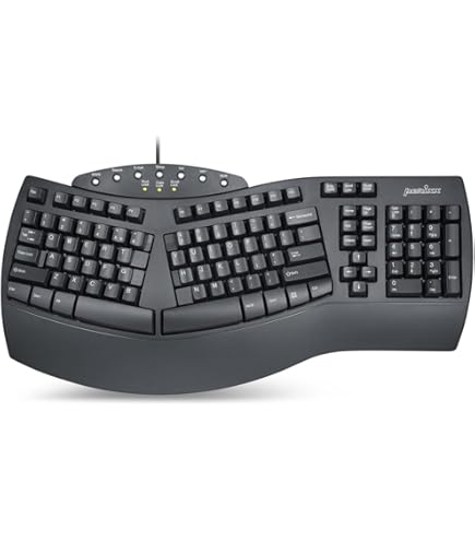 Amazon.com: Microsoft Natural Ergonomic Keyboard 4000 for Business