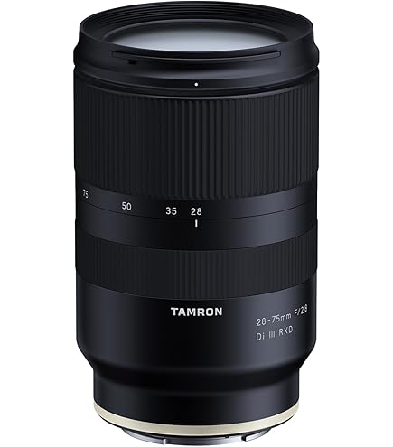 Amazon.com : Tamron 17-28mm f/2.8 Di III RXD for Sony Mirrorless