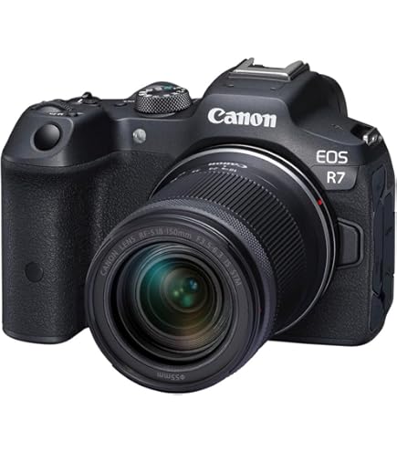 Amazon.com : Canon EOS 60D 18 MP CMOS Digital SLR Camera with 18