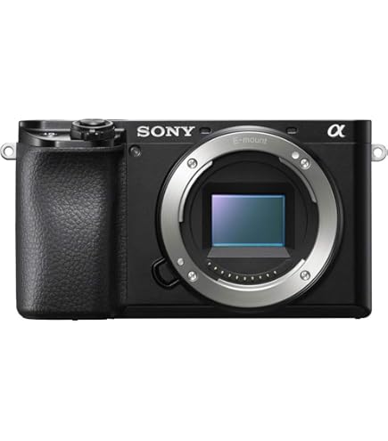 Amazon.com : Sony Alpha A6100 Mirrorless Camera with 16-50mm Zoom