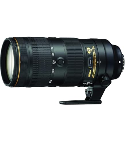 Amazon.com : Nikon AF-S FX NIKKOR 24-70mm f/2.8G ED Zoom Lens with