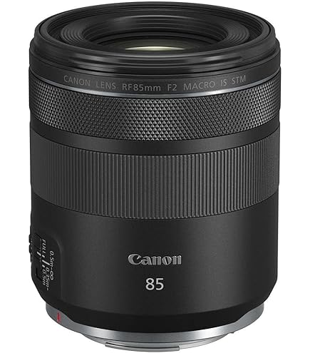 Amazon.com : Canon EF 100mm f/2.8L is USM Macro Lens for Canon