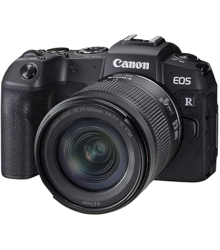 Amazon.com : Canon EOS 30D DSLR Camera with EF-S 17-85mm f/4-5.6