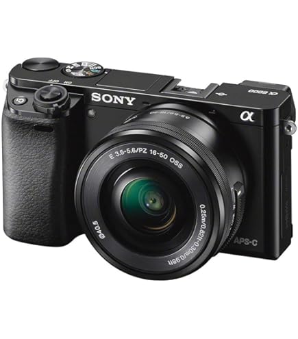 Amazon.com : Sony NEX-7 24.3 MP Mirrorless Digital Camera with 18
