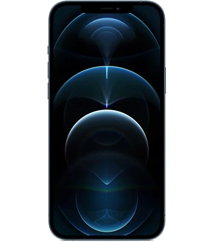 Amazon.com: Apple iPhone 12 Pro Max 5G, US Version, 256GB