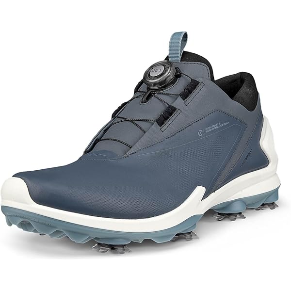 Amazon.com | ECCO Men's Biom G 3 Gore-Tex Golf Shoe, Magnet, 7-7