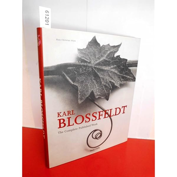 Amazon.com: Karl Blossfeldt. The Complete Published Work