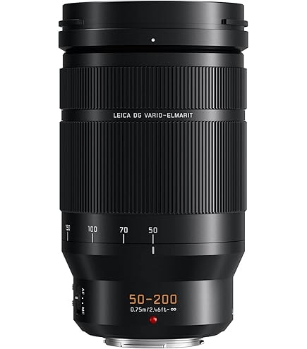Amazon.com : Panasonic H-HSA35100 F2.8 II ASPH 35-100mm Mirrorless
