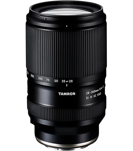 Amazon.com : TAMRON 28-200mm F/2.8-5.6 Di III RXD for Sony E-Mount