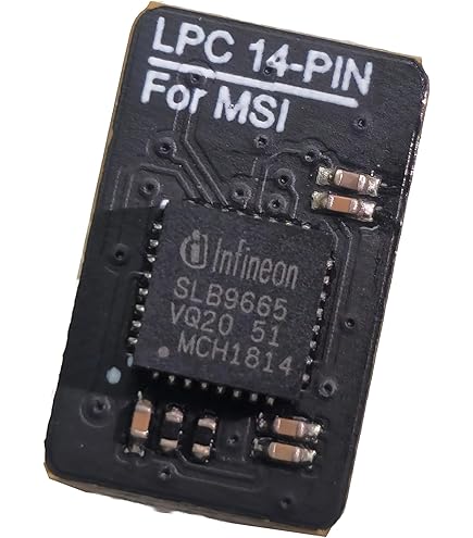 Amazon.com: TPM2.0 Security Module 14Pin -LPC M S I (14-1) Trusted