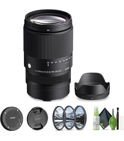 Amazon.com : Sigma 28-300mm f/3.5-6.3 DG Macro Aspherical Lens for