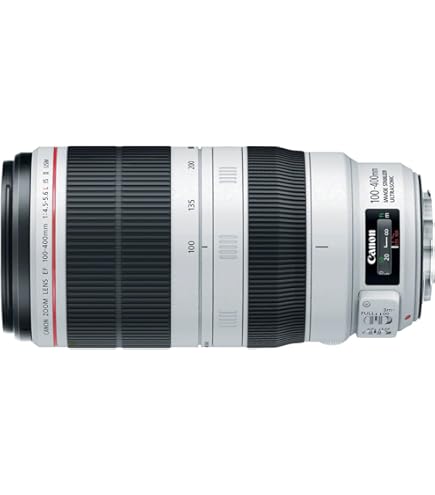 Amazon.com : Canon 70-200mm f/4L EF is USM : Camera Lenses