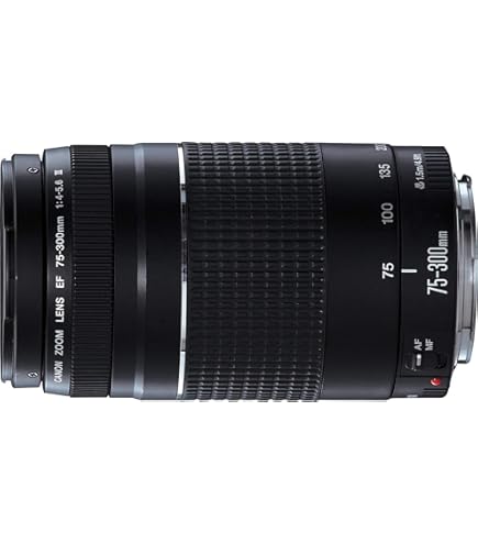 Amazon.com : Canon 75-300mm F4-5.6 III EF Lens (Non-USM) : Camera