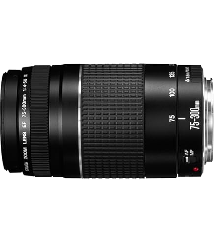 Amazon.com : Canon 75-300mm F4-5.6 III EF Lens (Non-USM) : Camera