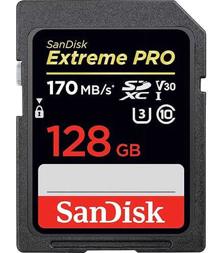 Amazon.com: SanDisk Extreme Pro 64GB Memory Card Works with Nikon