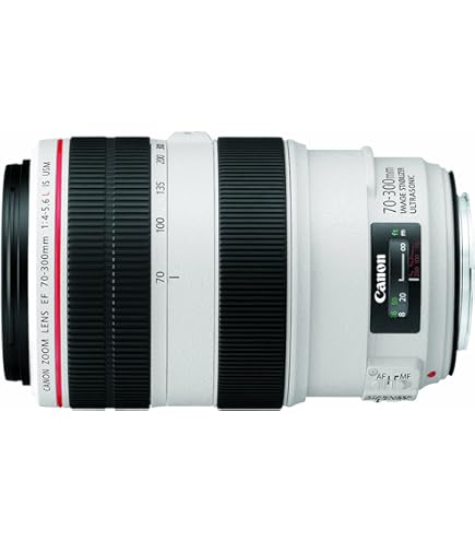 Canon EF 100-400mm f/4.5-5.6L is II USM Lens, Lens Only : CANON