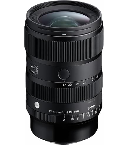 Amazon.com : 24mm F2 DG DN for L-Mount : Electronics