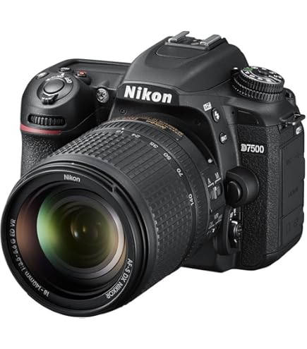 Amazon.com : D5600 DX-format Digital SLR w/ AF-S DX NIKKOR 18