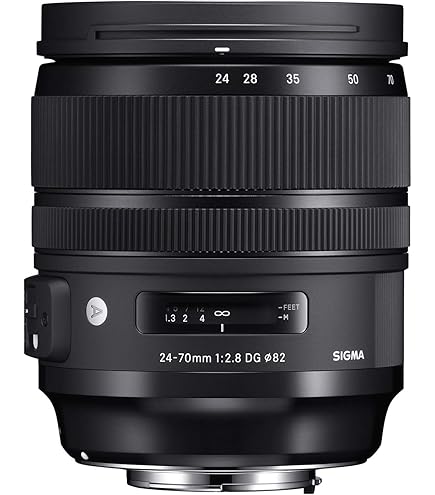 Amazon.com : Canon EF 24-70mm f/2.8L USM Standard Zoom Lens for