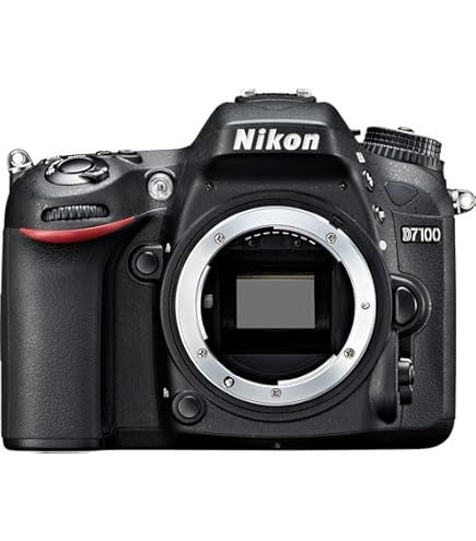 Amazon.com : Nikon D7200 24.2 MP DX-Format Digital SLR Body with
