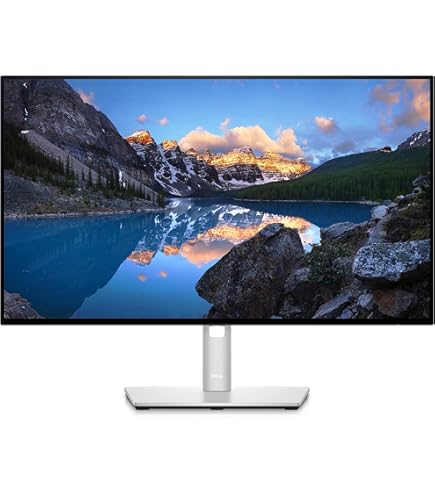 Amazon.com: Dell UltraSharp U2422HE 23.8