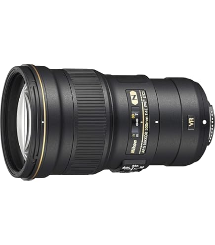 Amazon.com : Nikon 300mm f/4E PF VR AF-S ED-IF Telephoto Nikkor
