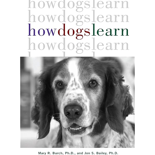 How Dogs Really Work!: Snow, Alan: 9780007309917: Amazon.com: Books