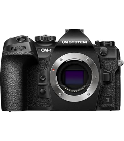 Amazon.com : Olympus OM-D E-M1 Mark II Kit, Micro Four Thirds