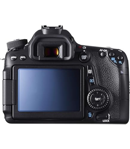 Amazon.com : Canon EOS 80D Digital SLR Camera Body (Black