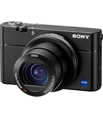 Amazon.com : Sony RX100 VI 20.1 MP Premium Compact Digital Camera