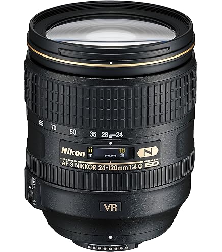 Amazon.com : Nikon AF-S FX NIKKOR 80-400mm f.4.5-5.6G ED Vibration